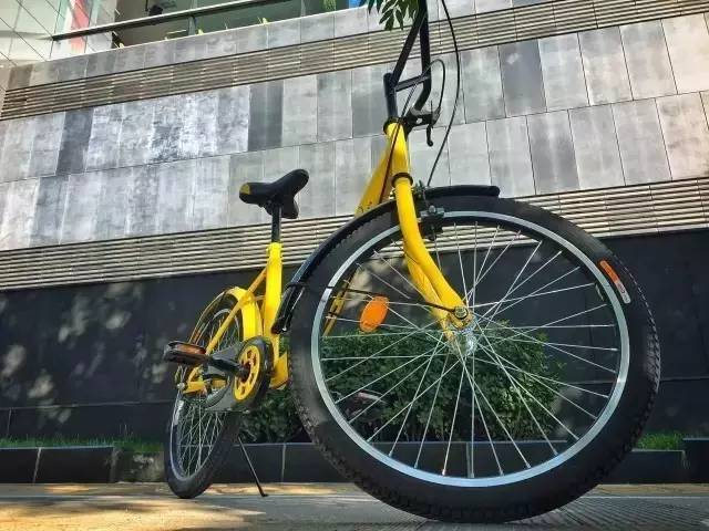 ofo共享单车从去年下半年开始在河北师范大学,河北科技大学,石家庄